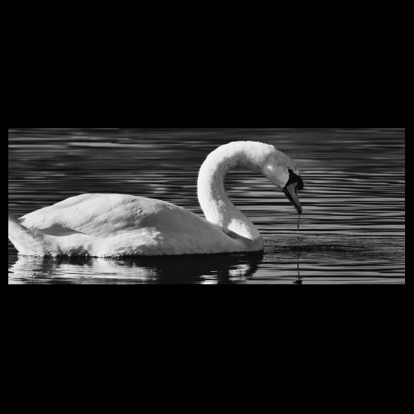 PHOTO84, CLUB, 84 , LUBERON